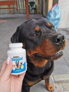 vitamine per cani